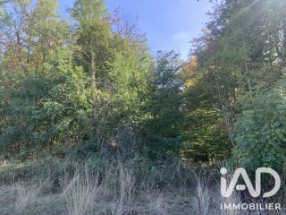  Terrain à vendre 33331 m²