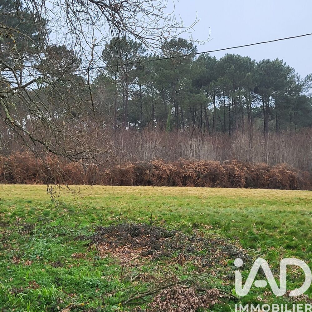 Vente Terrain Vente Surface diverse 44 000 m&sup2; Bazas