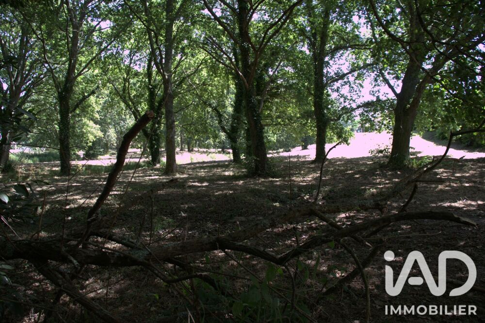 vente Terrain - 3802 m² Saint-Geours-de-Maremne (40230)