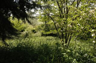  Terrain � vendre 1045 m�