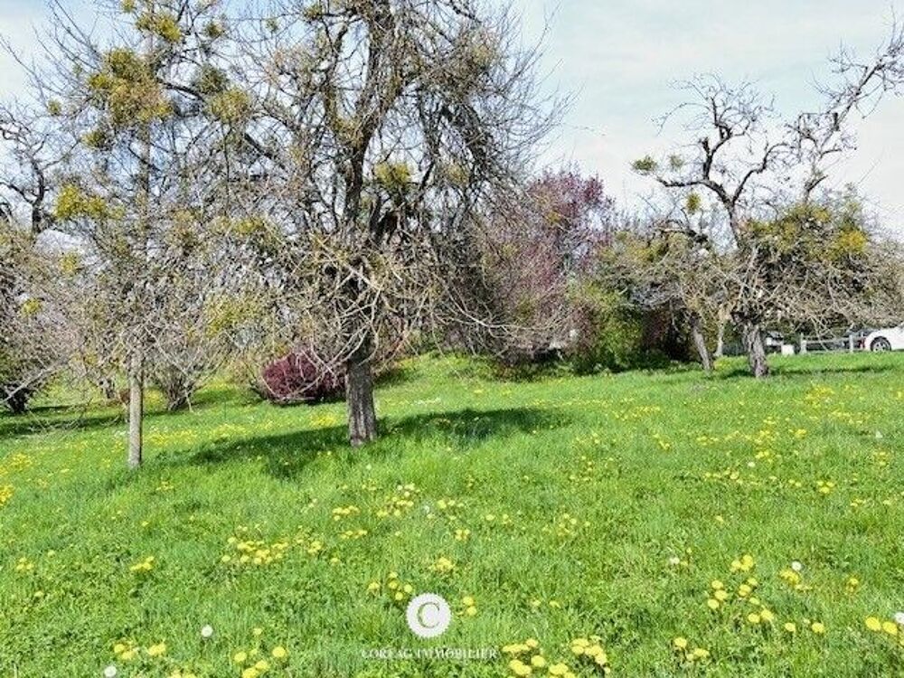 vente Terrain - 549 m² Bogève (74250)