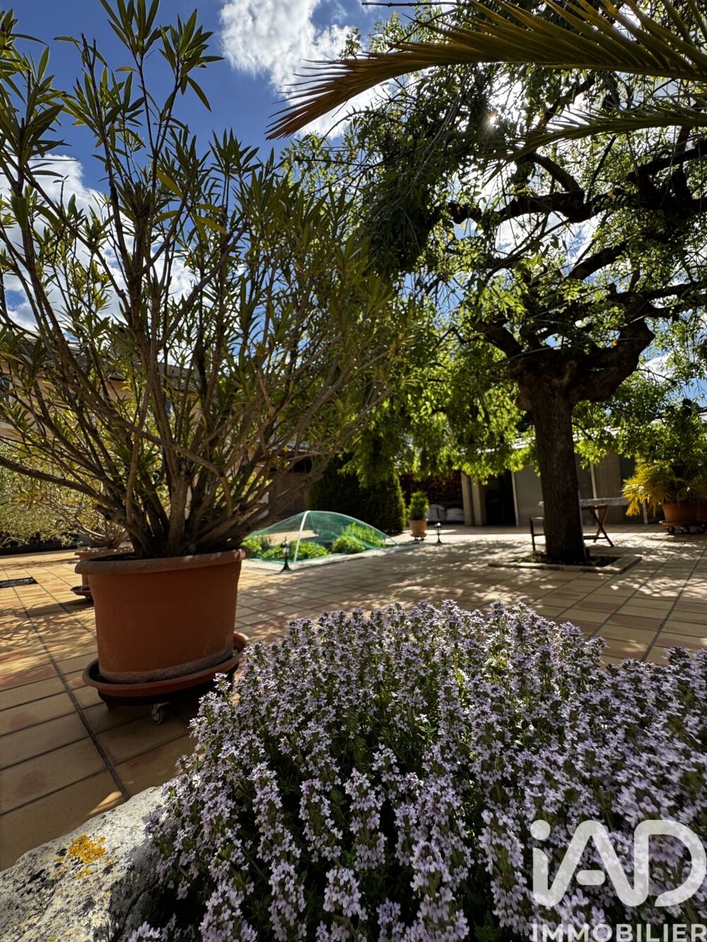 Vente Maison Vente Demeure 13 pièces Montauville
