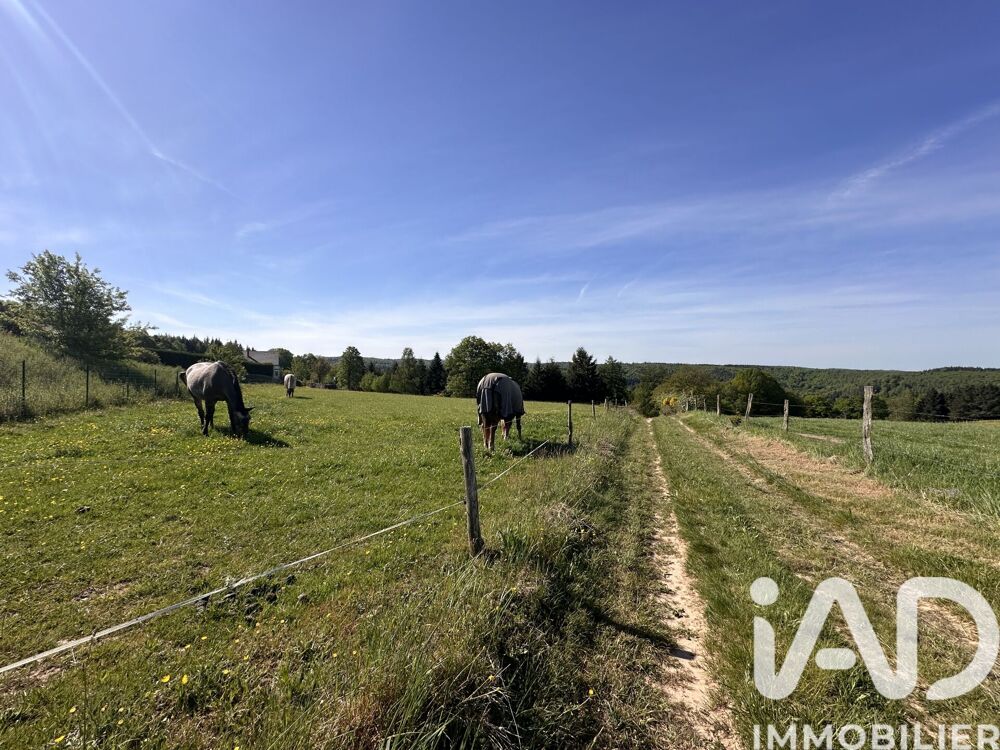 Vente Terrain Vente Terrain 4 042 m&sup2; Abreschviller
