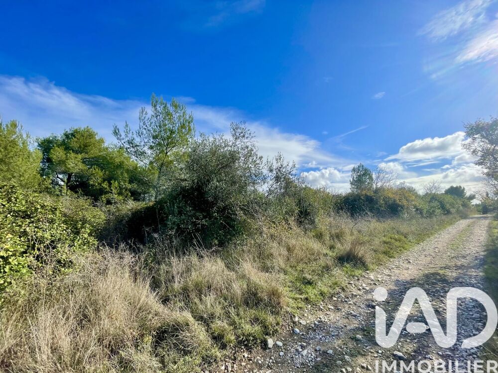 Vente Terrain Vente Terrain agricole 8 420 m&sup2; Aubais