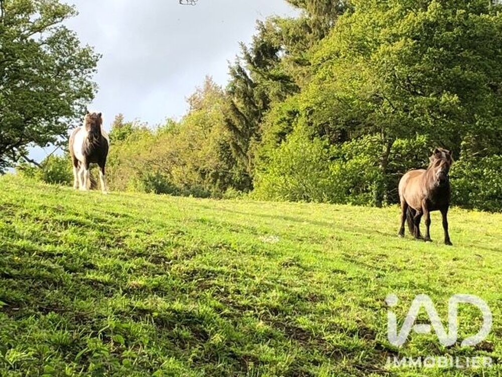 à vendre  Maison Clohars-Carnoët (29360)