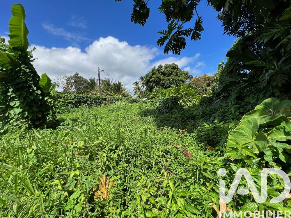 Vente Terrain Vente Terrain 1 015 m&sup2; Capesterre-belle-eau