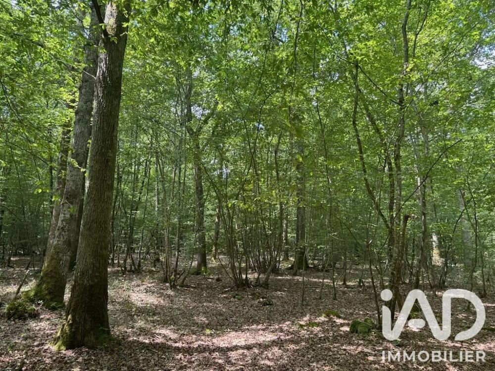 Vente Terrain Vente Surface diverse 211 447 m&sup2; Lantan