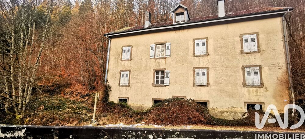 Vente Immeuble Vente Immeuble 360 m&sup2; Plombières-les-bains