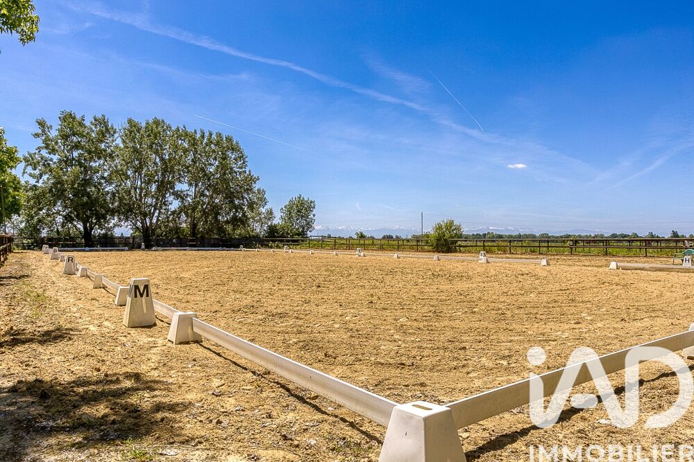 à vendre  Maison Rabastens-de-Bigorre (65140)
