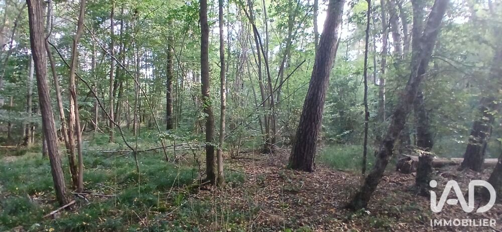 Vente Terrain Vente Terrain 3 306 m&sup2; Villemoutiers