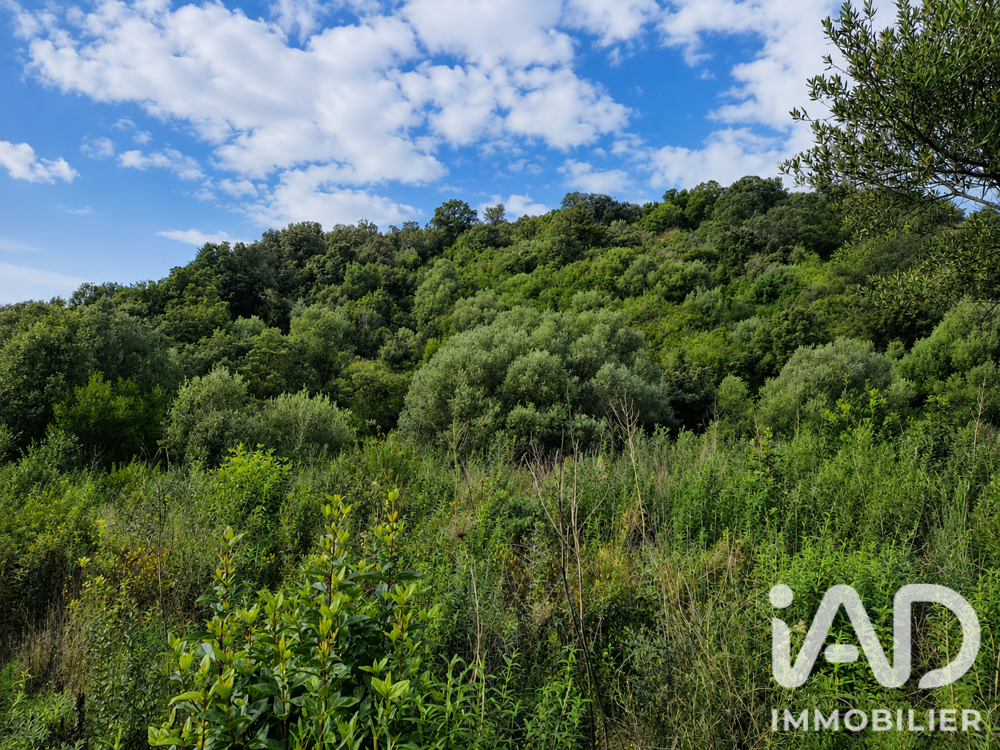 vente Terrain - 14741 m² Ocana (20117)