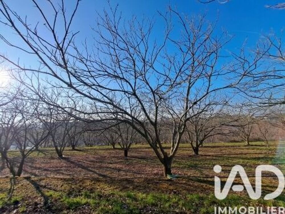 Vente Terrain Vente Terrain 55 000 m&sup2; Ozon