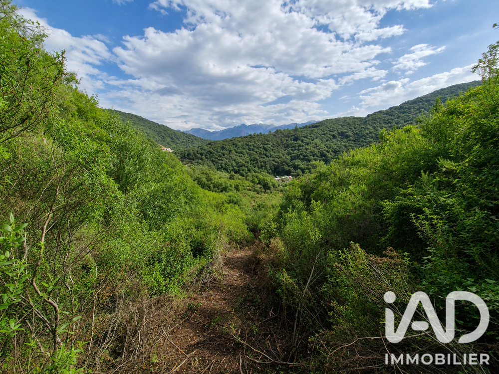 vente Terrain - 14741 m² Ocana (20117)