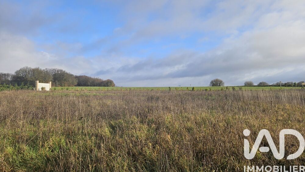 Vente Terrain Vente Terrain 1 295 m&sup2; Courcome