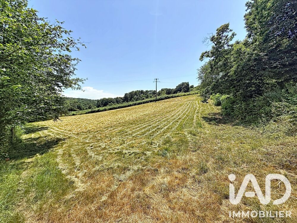 Vente Terrain Vente Terrain à bâtir 2 594 m&sup2; Samsons-lion
