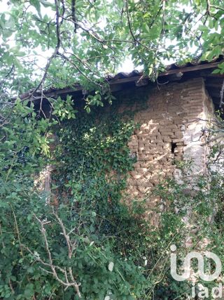  Terrain à vendre 3300 m²