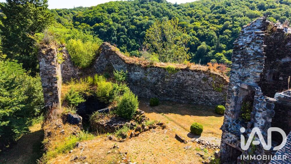 Vente Maison Vente Château 5 pièces Orgnac-sur-vézère
