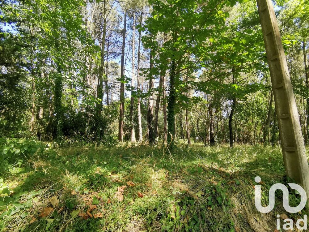 Vente Terrain Vente Terrain à bâtir 5 620 m&sup2; Cenne monestiès