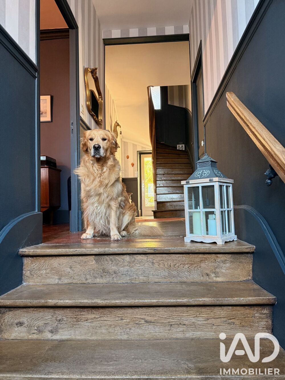 Vente Maison/villa 11 pièces