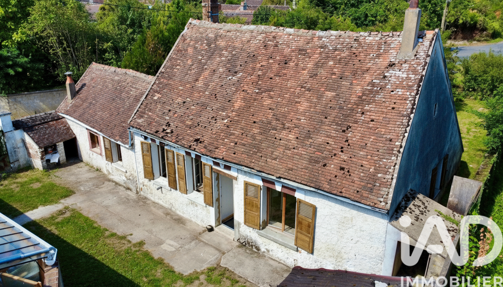 Vente Maison Vente Maison de campagne 3 pièces Thorigny-sur-oreuse
