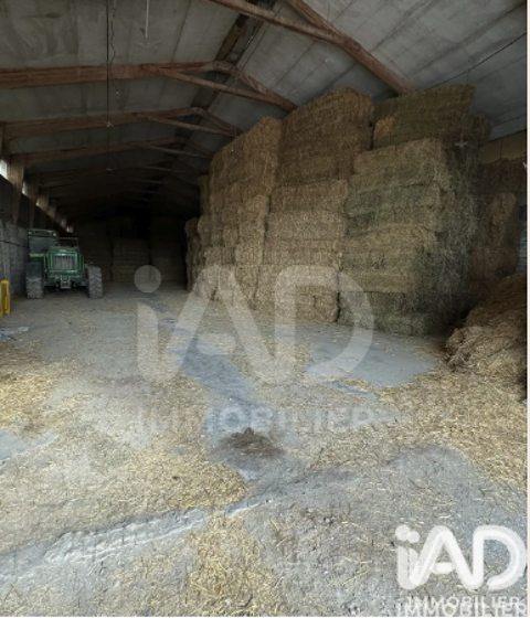 Image Annonce