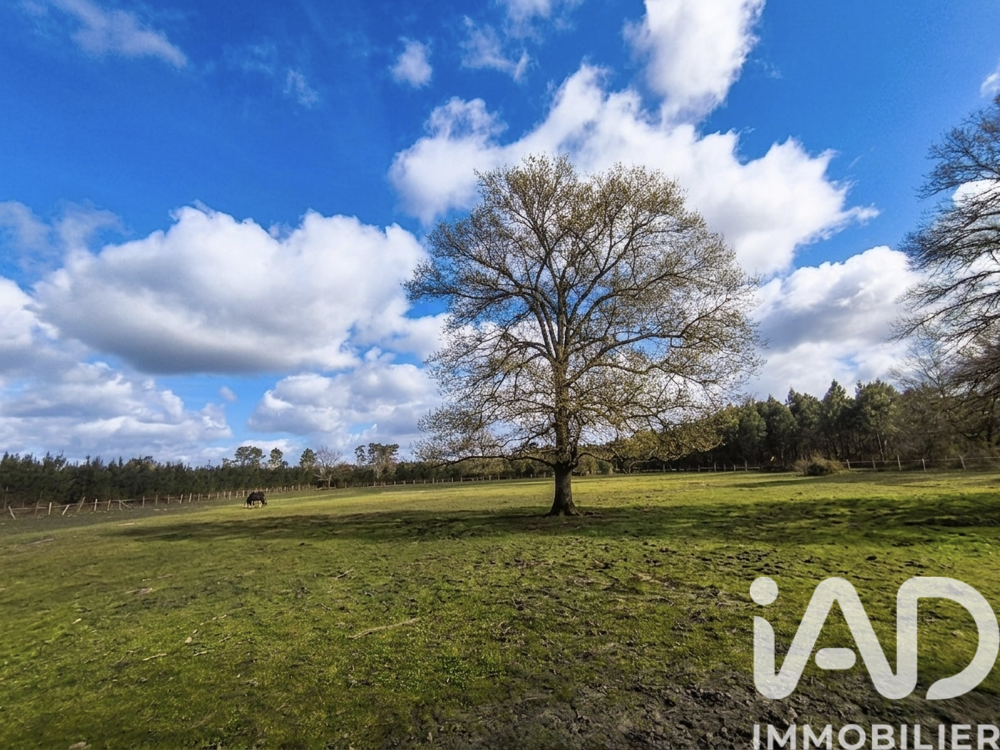Vente Maison/villa 8 pièces