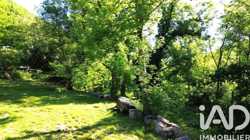 Vente Maison Vente Maison de campagne 3 pièces Vocance