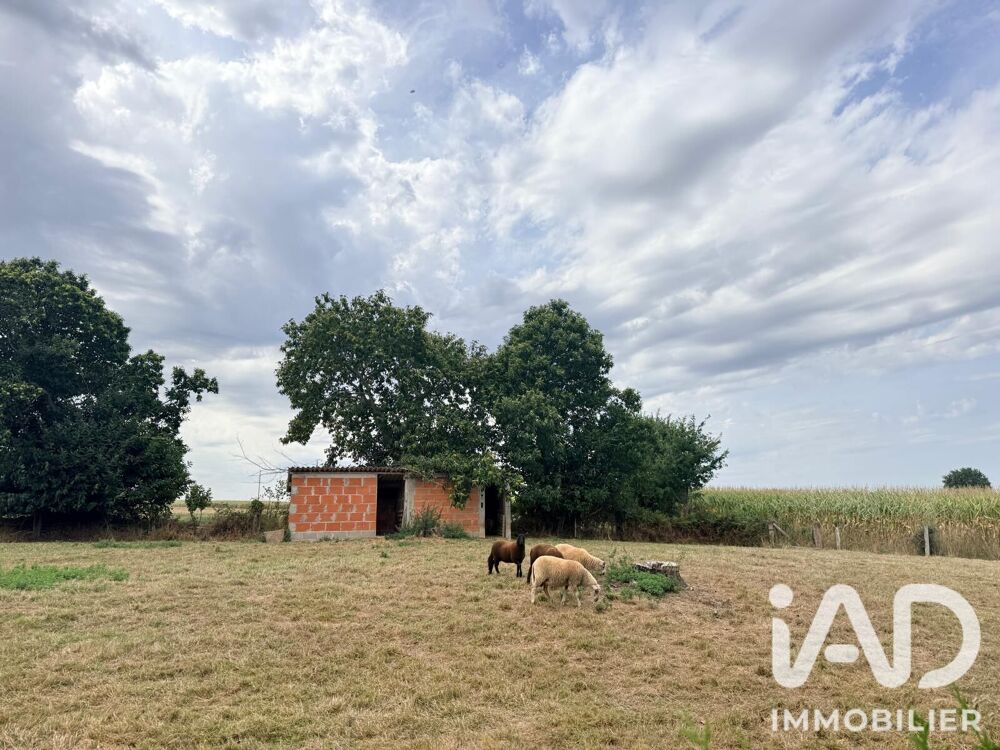 Vente Maison Vente Maison/villa 6 pièces Grandparigny