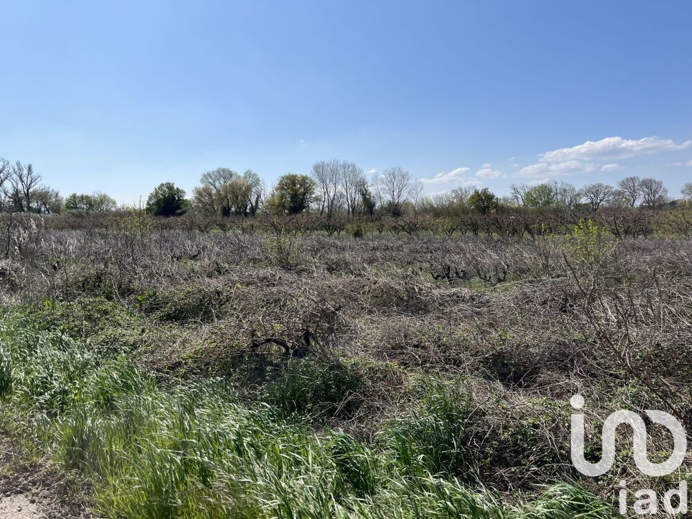 Vente Terrain Vente Terrain agricole 6 585 m&sup2; Codolet