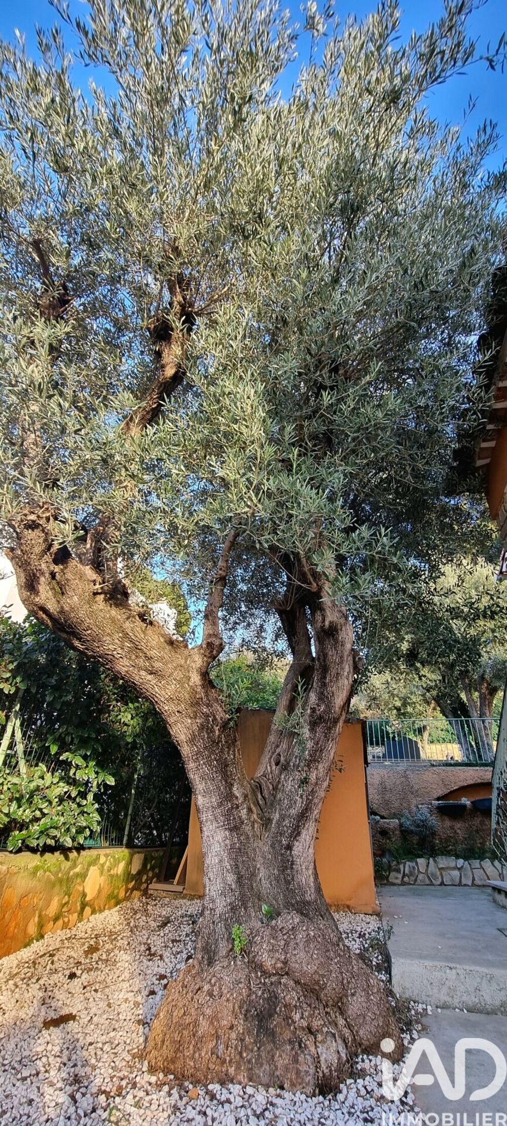 Vente Maison Vente Maison traditionnelle 6 pièces Toulon