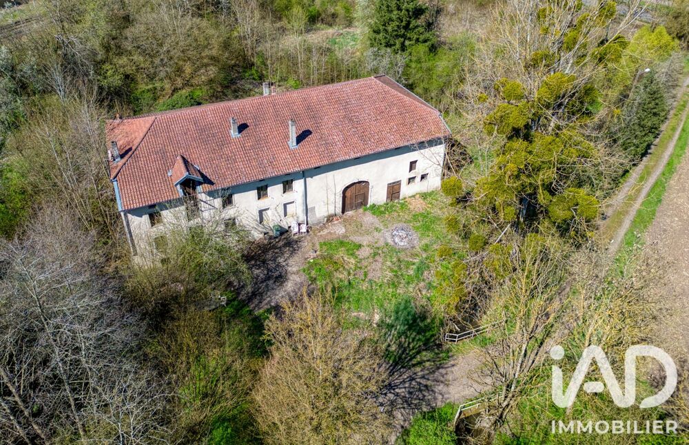 Vente Maison Vente Domaine 7 pièces Anzeling