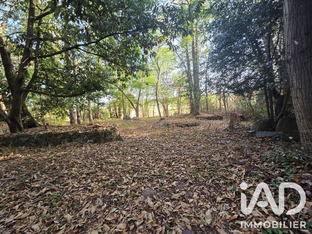 Vente Terrain Vente Terrain 1 041 m&sup2; Soisy sur ecole