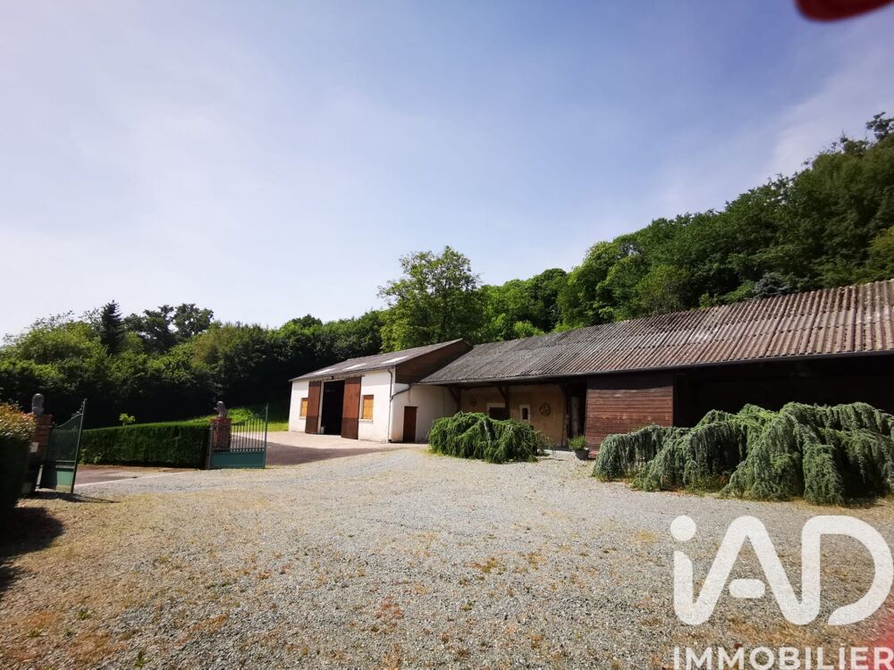 Vente Maison Vente Demeure 13 pièces Saint-georges-de-la-couée