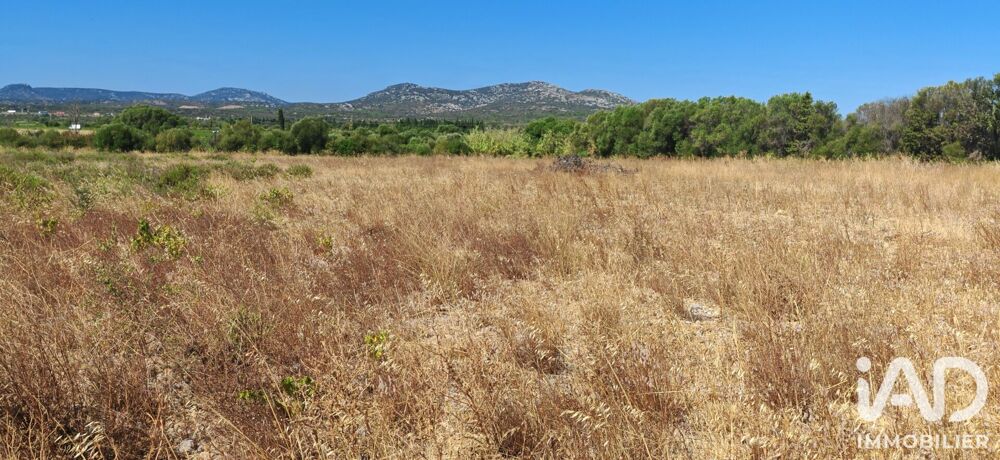 Vente Terrain Vente Terrain agricole 595 m&sup2; La palme