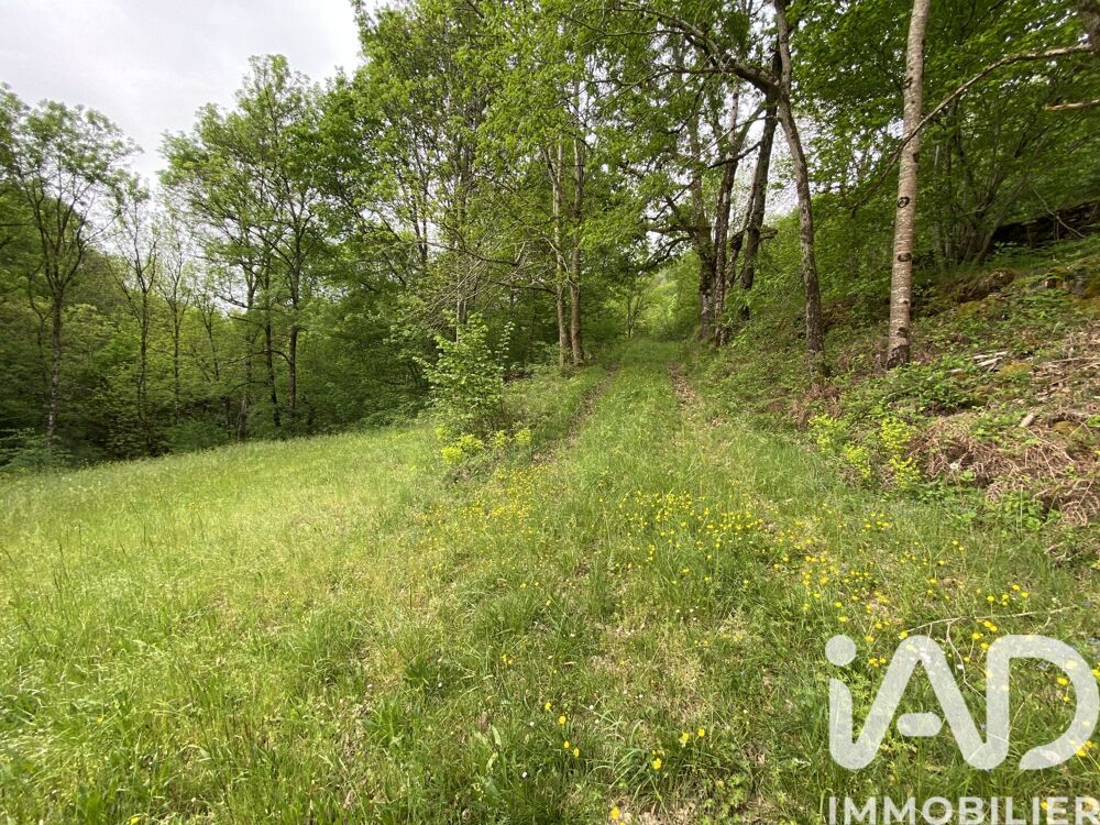 Vente Terrain Vente Surface diverse 8 141 m&sup2; Ayssènes