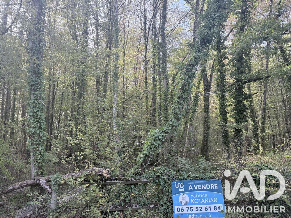 Vente Terrain Vente Terrain à bâtir 2 362 m&sup2; Sommecaise