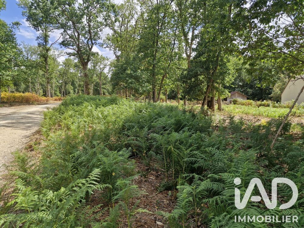 Vente Terrain Vente Terrain à bâtir 1 661 m&sup2; Saint-benoît-la-forêt