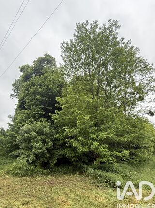  Terrain à vendre 35024 m²