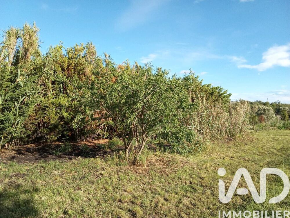 Vente Terrain Vente Terrain agricole 6 440 m&sup2; Nézignan-l'Évêque