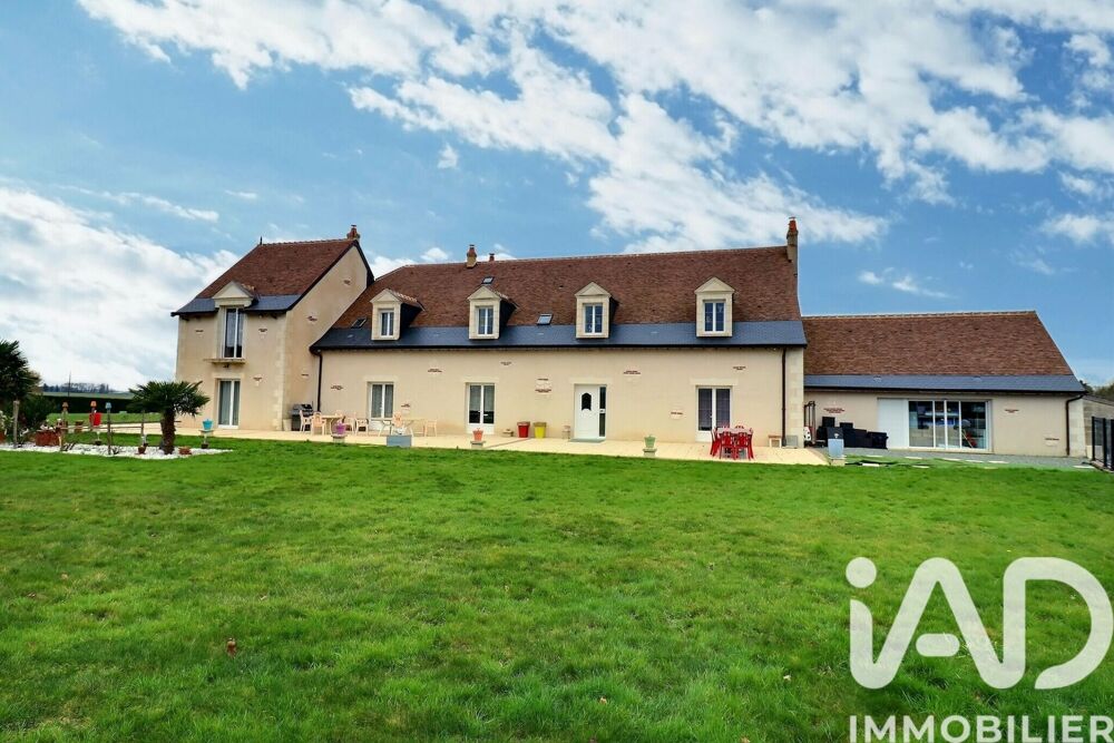 Vente Maison Vente Maison d'architecte 16 pièces Neuillé-pont-pierre