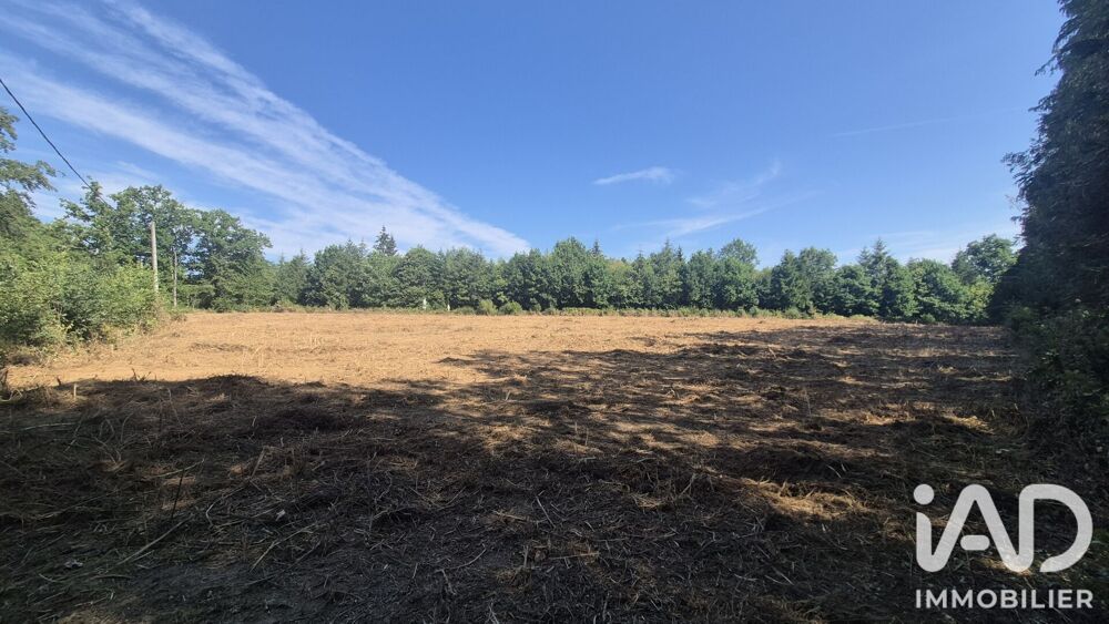 Vente Terrain Vente Terrain à bâtir 2 972 m&sup2; Royères