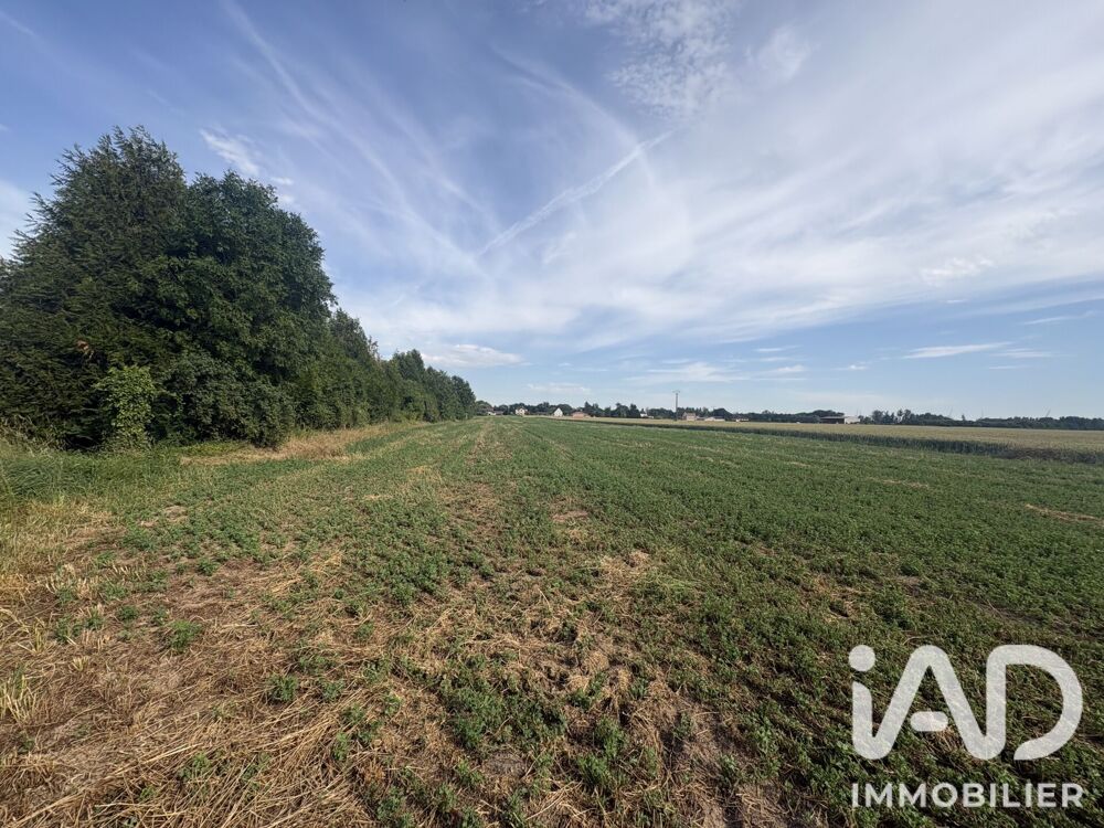 Vente Terrain Vente Terrain à bâtir 2 813 m&sup2; Vouzy