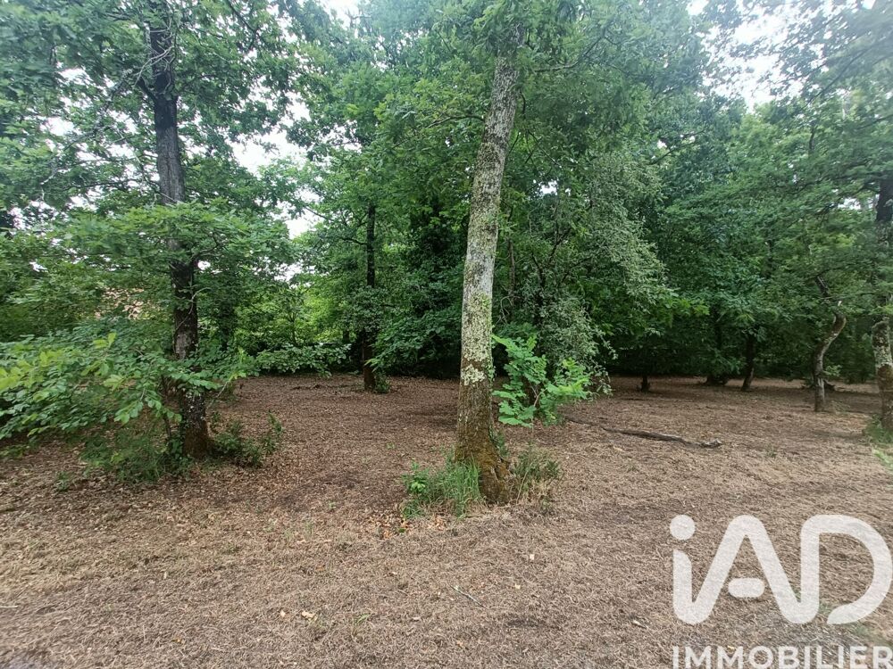 Vente Terrain Vente Terrain 1 567 m&sup2; Le pian medoc