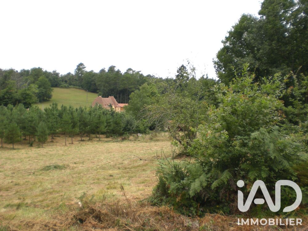 Vente Terrain Vente Terrain à bâtir 5 000 m&sup2; Campsegret