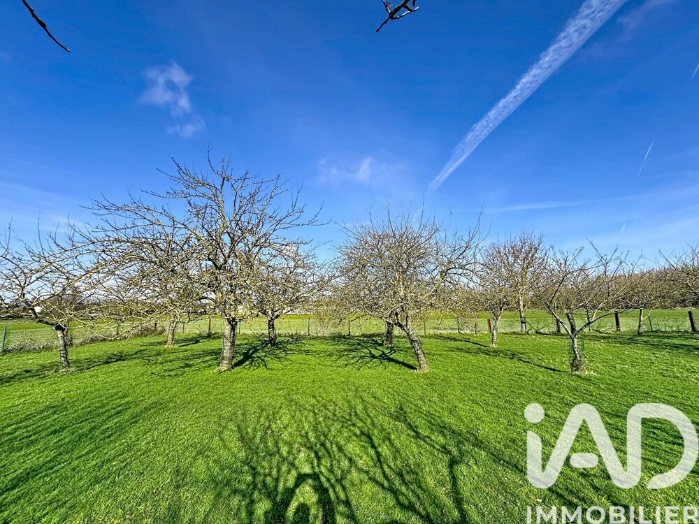 Vente Terrain Vente Terrain agricole 5 000 m&sup2; Ploufragan