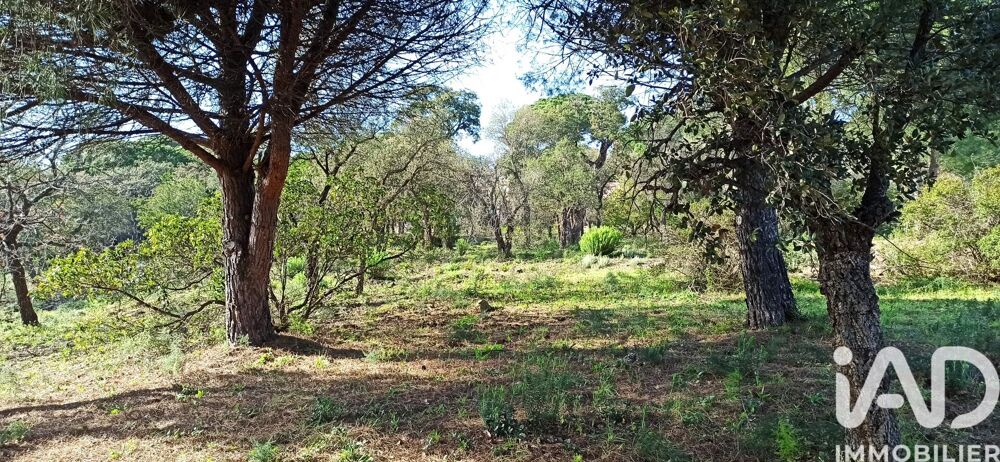 Vente Terrain Vente Terrain 3 231 m&sup2; Sainte-maxime