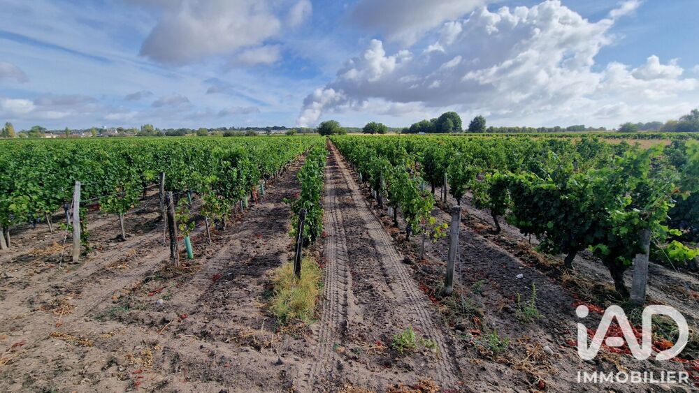 Vente Terrain Vente Terrain agricole 65 000 m&sup2; Avoine