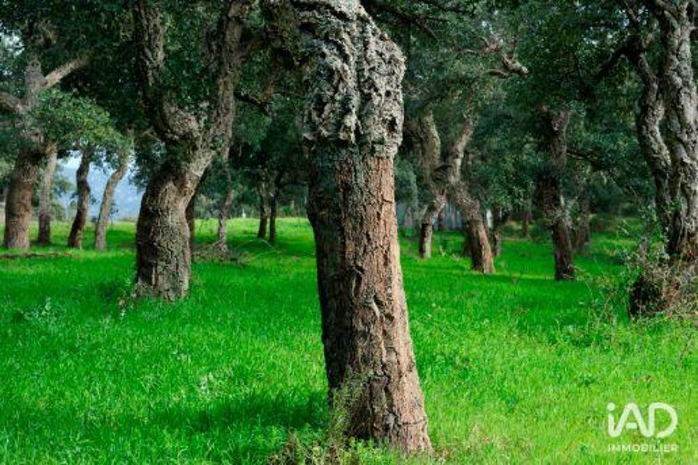 Vente Terrain Vente Terrain 660 m&sup2; Maureillas-las-illas