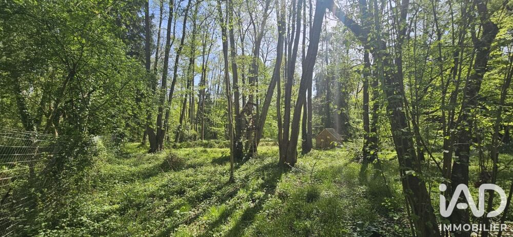 Vente Terrain Vente Terrain à bâtir 4 155 m&sup2; Verdelot
