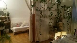  Appartement  louer 1 pice 31 m